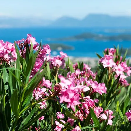 ヴィラ The View Lefkada *